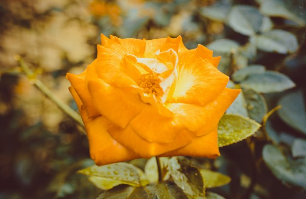 Land 7 by SonicSkylineMedia